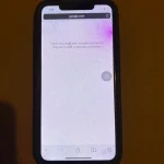 Purple Spot on iPhone Screen